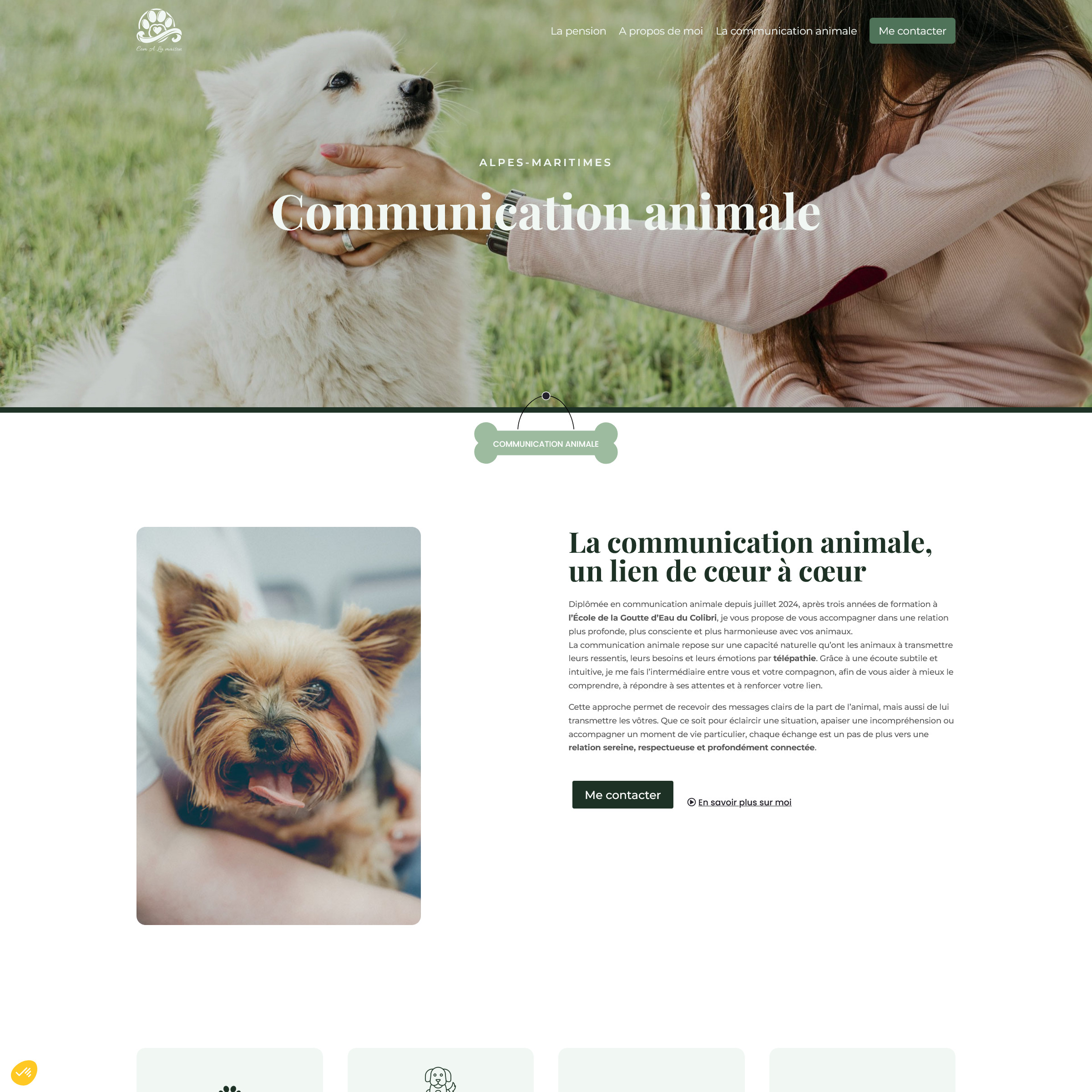 pension communication animale wordpress